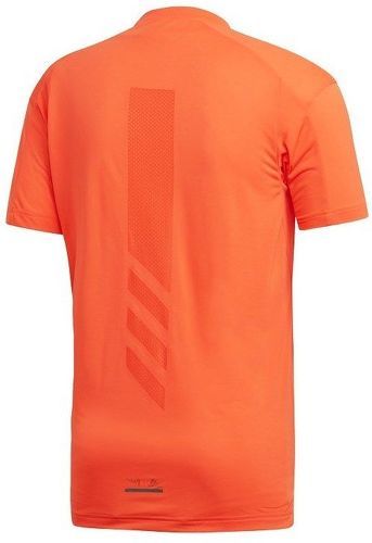 adidas Performance-Terrex Agravic Trail Running-2