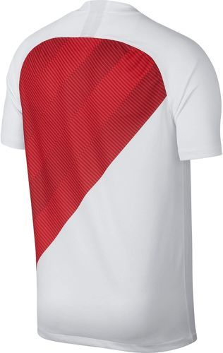 NIKE-Monaco (domicile) 2018/19-1