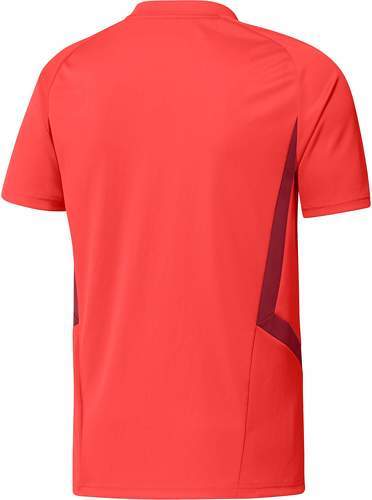 adidas Performance-T-shirt da allenamento FC Bayern München-1