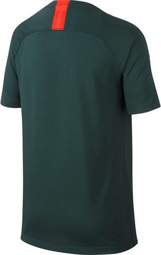 NIKE-Monaco (extérieur) 2018/19 - Maillot de foot-1