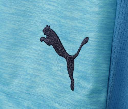 PUMA-puma OM (third) 2018/19 - Short de foot-4