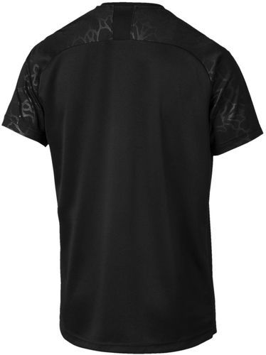 PUMA-OM (third)-1