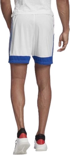 adidas Performance-Short Tastigo 19-3