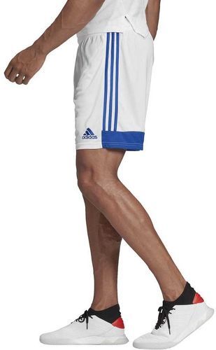 adidas Performance-Short Tastigo 19-4