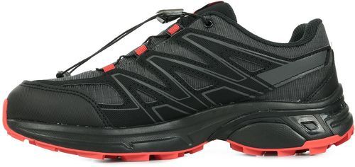 salomon wings access 3