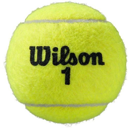 WILSON-Clay Court Roland Garros - Balles de tennis-2