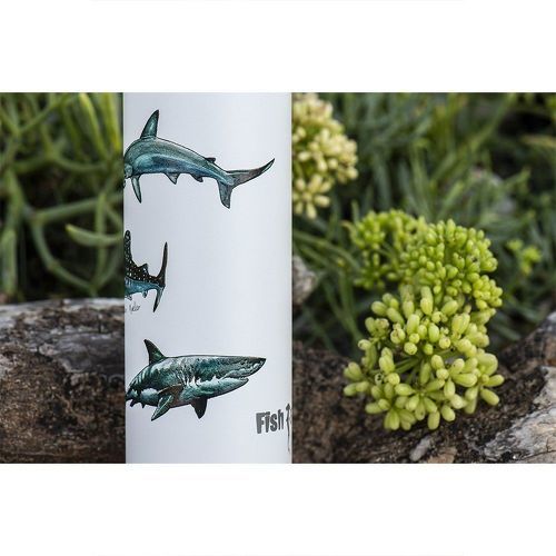 Fish Tank-Fish Tank Bouteille D´affiche De Requin 600ml-2