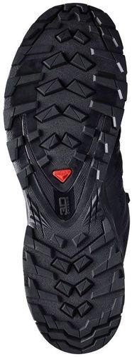 SALOMON-Xa Pro 3D V8-1