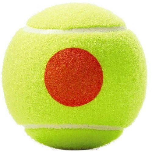 WILSON-Wilson Roland Garros-1