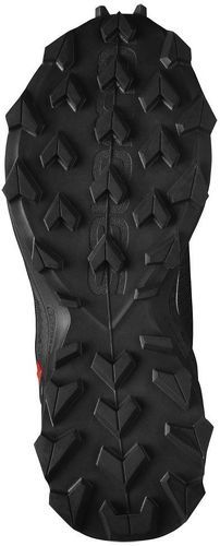 SALOMON-Alphacross Blast-1