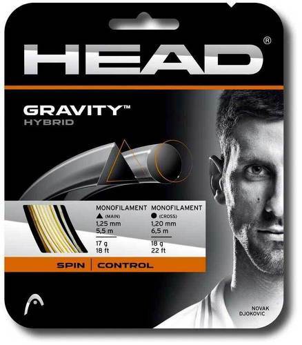 HEAD-Gravity Hybrid-image-1