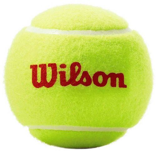 WILSON-Wilson Roland Garros-2