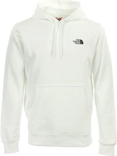 THE NORTH FACE-Geodome Hoodie-image-1