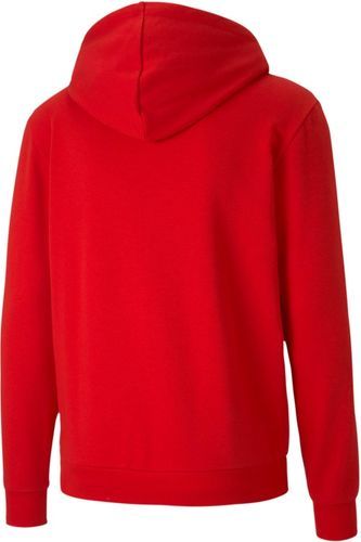 PUMA-Teamgoal 23 Casuals - Sweat-1