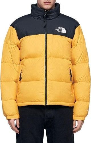 THE NORTH FACE-M 1996 RTRO NPSE JKT-image-1