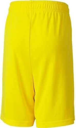 PUMA-Teamgoal 23 - Short de football-1