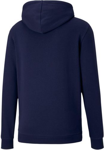 PUMA-Teamgoal 23 Casuals - Sweat-1