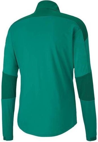 PUMA-TeamFinal 21 Training - Veste de foot-1