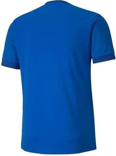 PUMA-Teamgoal 23 Training-1