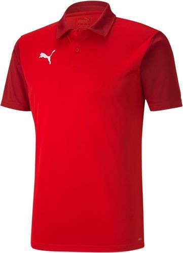PUMA-Teamgoal 23 - Polo-0