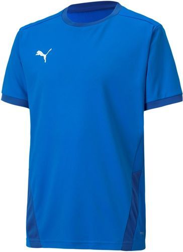 PUMA-Teamgoal 23 Training-0
