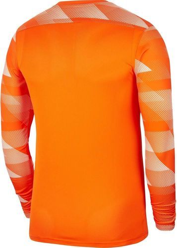 NIKE-Dri-Fit Park 4 - Tenue gardien de football-1