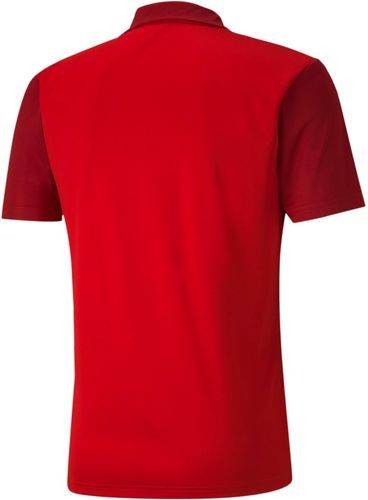 PUMA-Teamgoal 23 - Polo-1