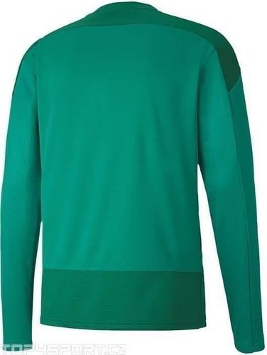 PUMA-Teamgoal 23 Training - Sweat de football-1