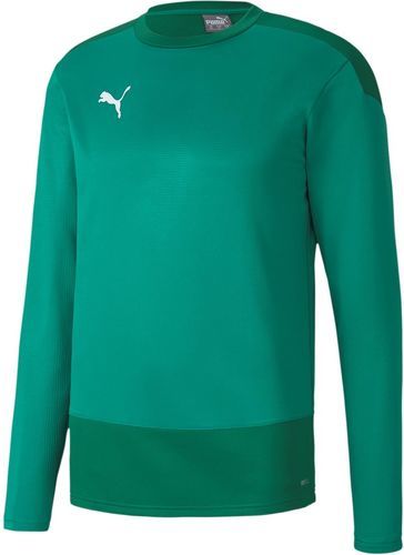 PUMA-Teamgoal 23 Training - Sweat de football-0
