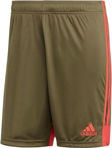 adidas Performance-Short Tastigo 19-0