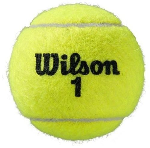 WILSON-Boîte de 4 balles Roland Garros toutes surfaces-2