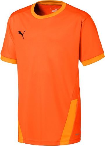 PUMA-Teamgoal 23 Training-0