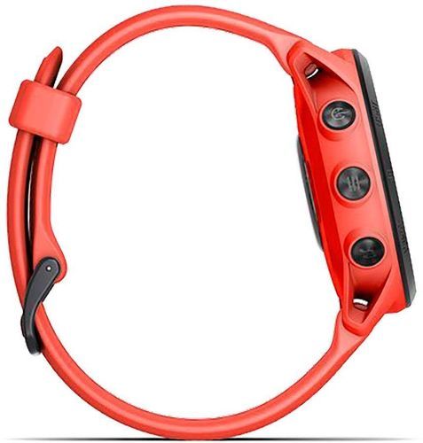 GARMIN-Forerunner 745-2