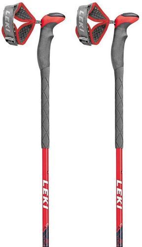 LEKI-Leki Alpino Guide Lite V-0