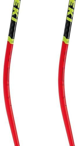 LEKI-Leki Alpino Wcr Sg/dh 3d-2