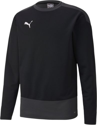 PUMA-Teamgoal 23 training - sweat-0