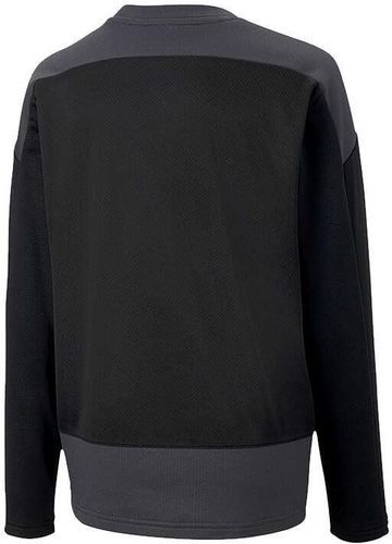 PUMA-Teamgoal 23 training - sweat-1