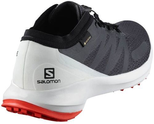 SALOMON-Salomon Sense Flow Goretex-2