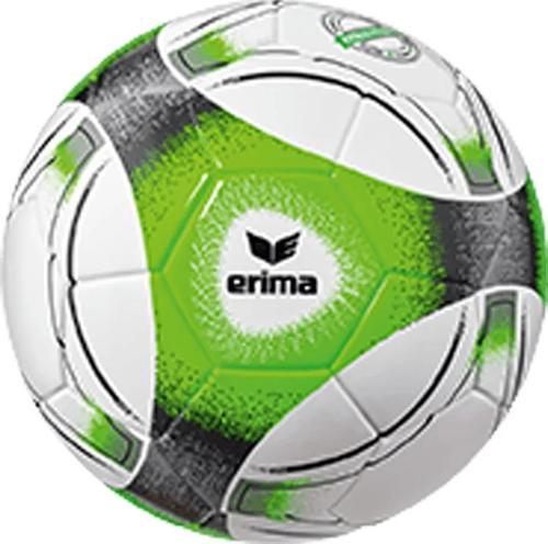 ERIMA-Hybrid Miniball-image-1