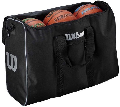 WILSON-Wilson Travel Bag Transport bag-2