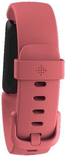 Fitbit-Fitbit Bracelet Activité Inspire 2-1