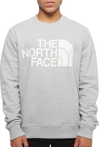 THE NORTH FACE-M STANDARD CREW-image-1