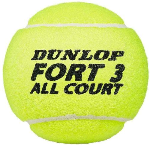 DUNLOP-Dunlop Fort All Court Ts-2