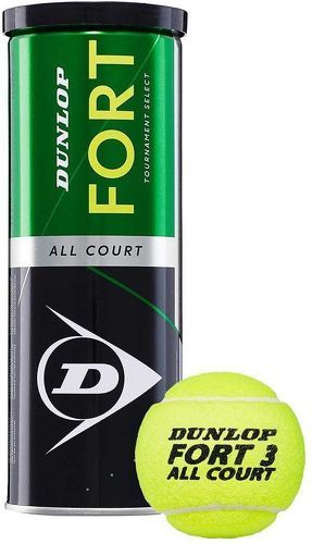 DUNLOP-Dunlop Fort All Court Ts-0