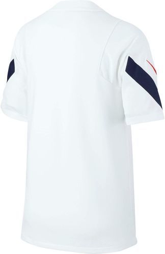 NIKE-France 2020/2021 (training)-1