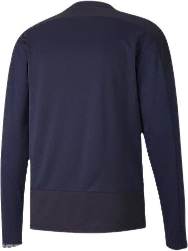 PUMA-Teamgoal 23 Training - Sweat de football-1