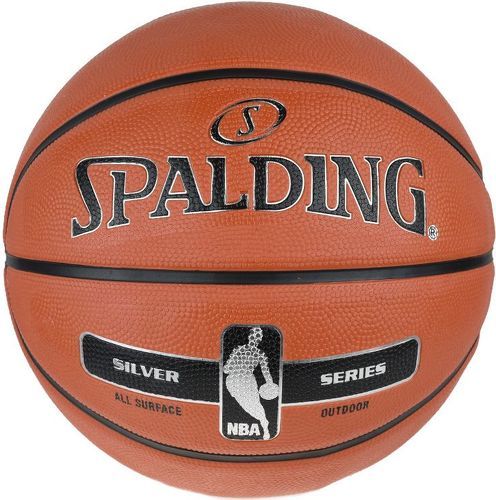 SPALDING-Spalding NBA Silver Outdoor-image-1