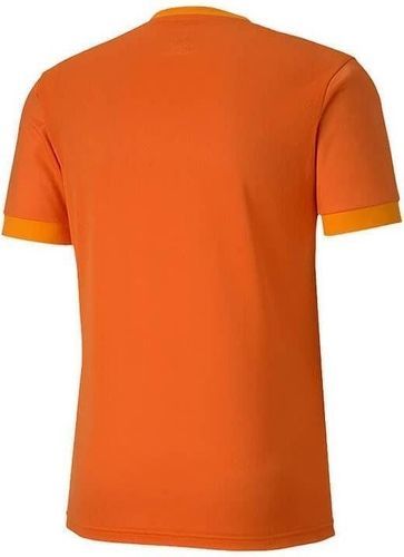 PUMA-Teamgoal 23 Training-1