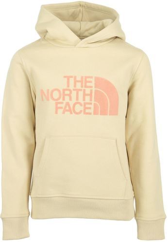 THE NORTH FACE-Drew Peak Hoodie-image-1