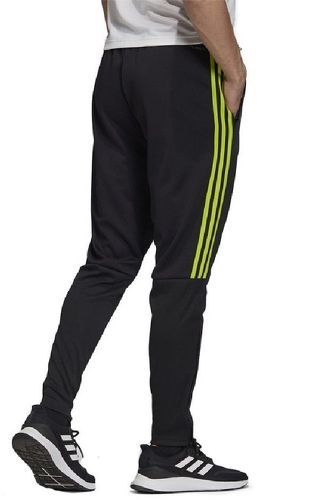 Pantalon Jogging Noir et Vert Homme Adidas Sere19 TRG